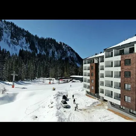 Winter Night Snjezna Dolina Jahorina